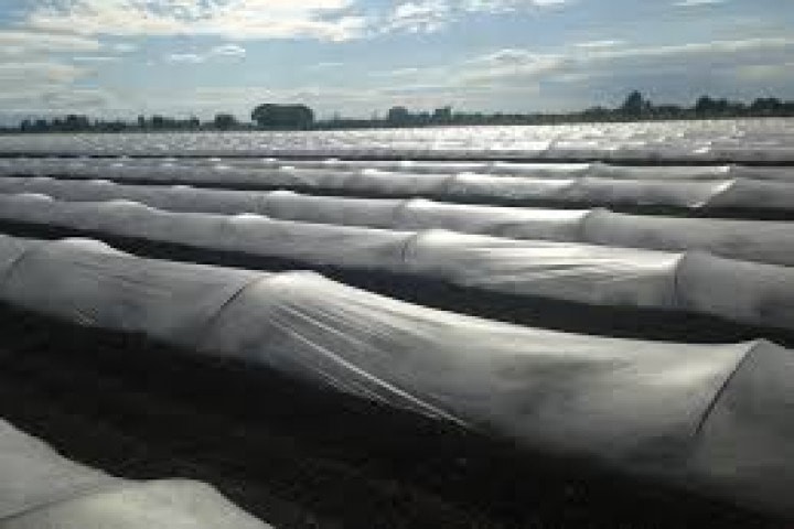 black anti-hail net isolated on white background